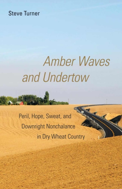 Amber Waves and Undertow : Peril, Hope, Sweat, and Downright Nonchalance in Dry Wheat Country, Paperback / softback Book