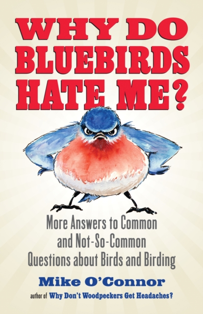 Why Do Bluebirds Hate Me? : More Answers to Common and Not-So-Common Questions about Birds and Birding, Paperback / softback Book