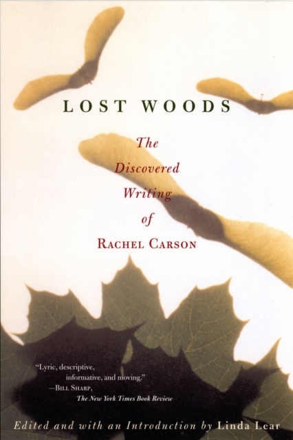 Lost Woods, EPUB eBook