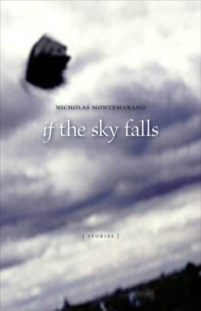If the Sky Falls : Stories, PDF eBook