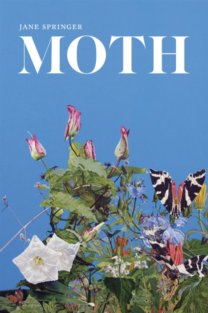 Moth : Poems, PDF eBook