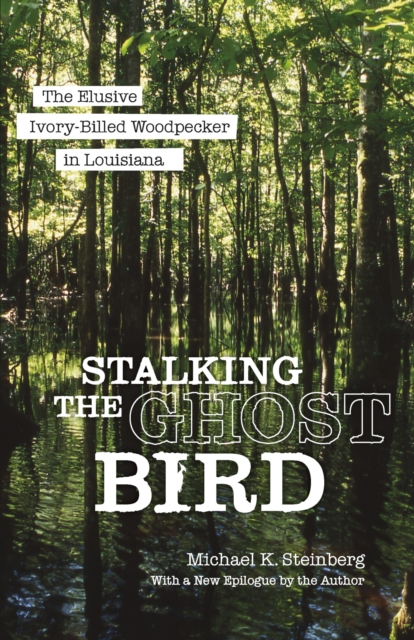 Stalking the Ghost Bird : The Elusive Ivory-Billed Woodpecker in Louisiana, Paperback / softback Book