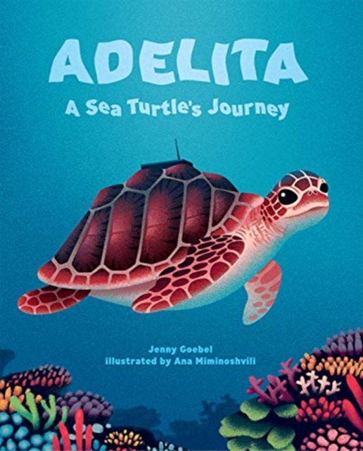 ADELITA A SEA TURTLES JOURNEY, Hardback Book