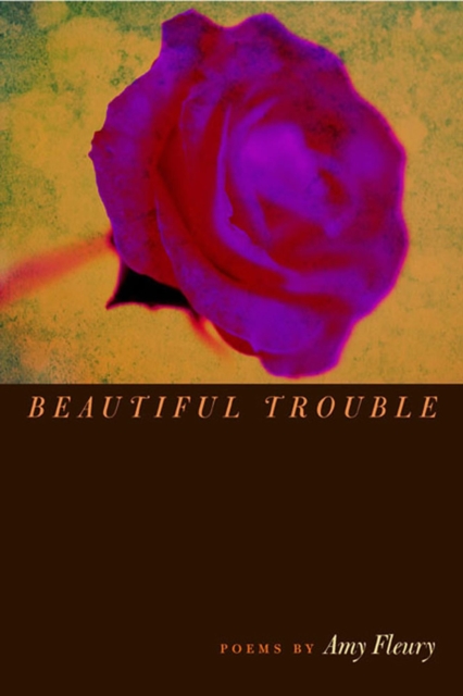 Beautiful Trouble, Paperback / softback Book