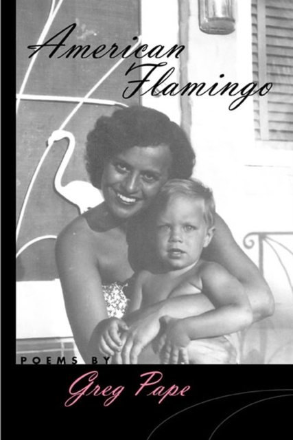 American Flamingo, Paperback / softback Book