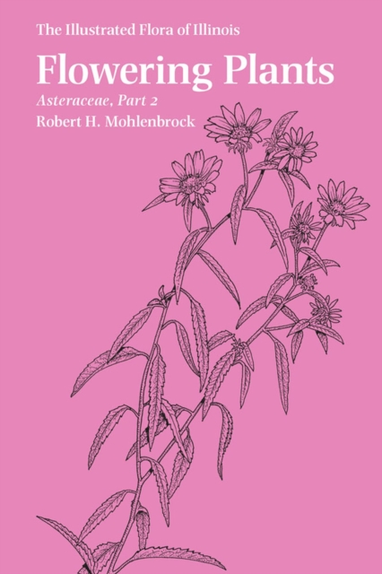 Flowering Plants: Asteraceae, Part 2, Paperback / softback Book