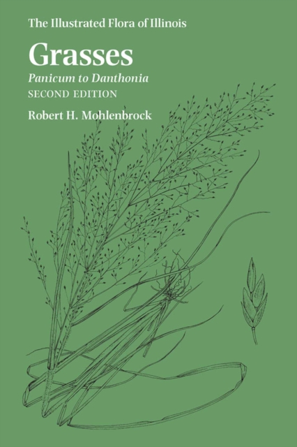 Grasses: Panicum to Danthonia, Paperback / softback Book