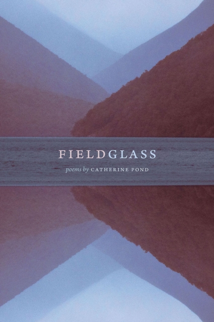fieldglass, Paperback / softback Book