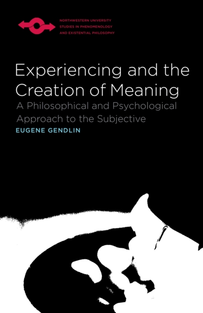 Experiencing and the Creation of Meaning, Paperback / softback Book