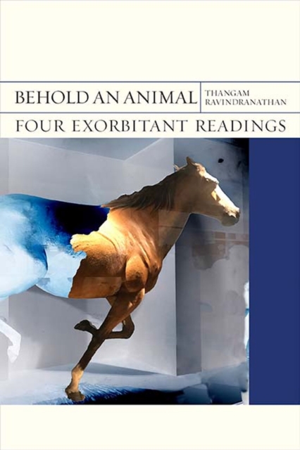 Behold an Animal : Four Exorbitant Readings, Hardback Book