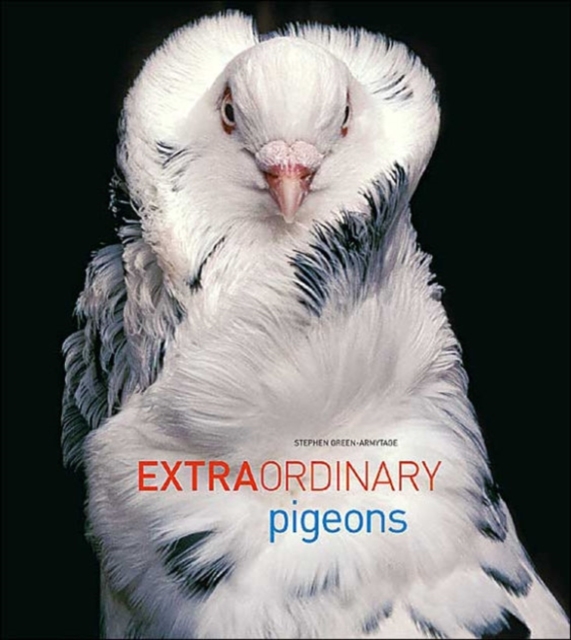 Extraordinary Pigeons, Hardback Book