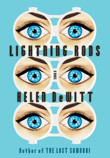 Lightning Rods, EPUB eBook