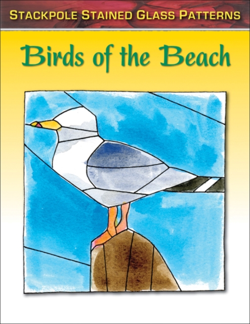 Birds of the Beach, Paperback / softback Book