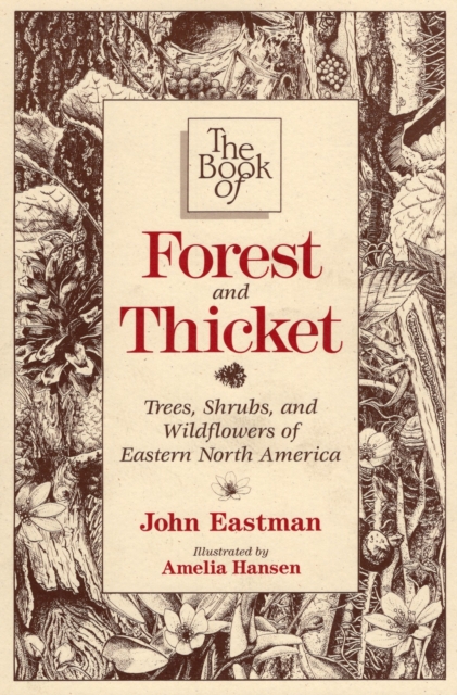 Book of Forest and Thicket : Trees, Shrubs, and Wildflowers of Eastern North America, Paperback / softback Book