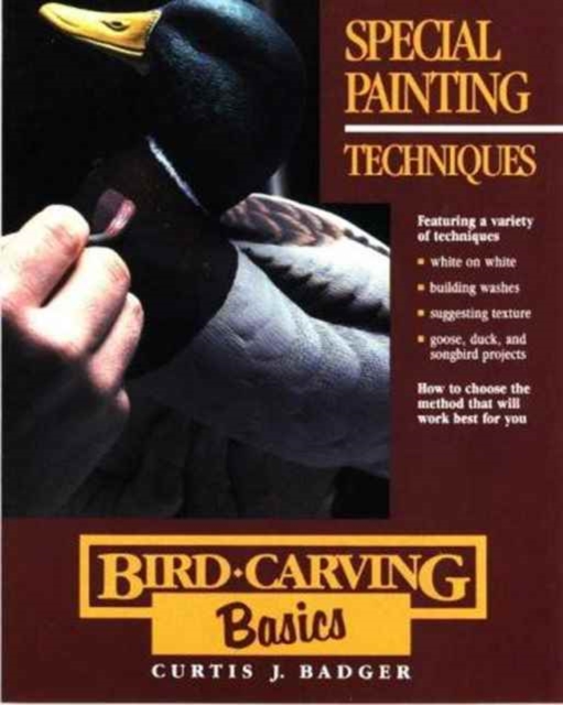 Bird Carving Basics : Special Painting Techniques v.7, Paperback / softback Book