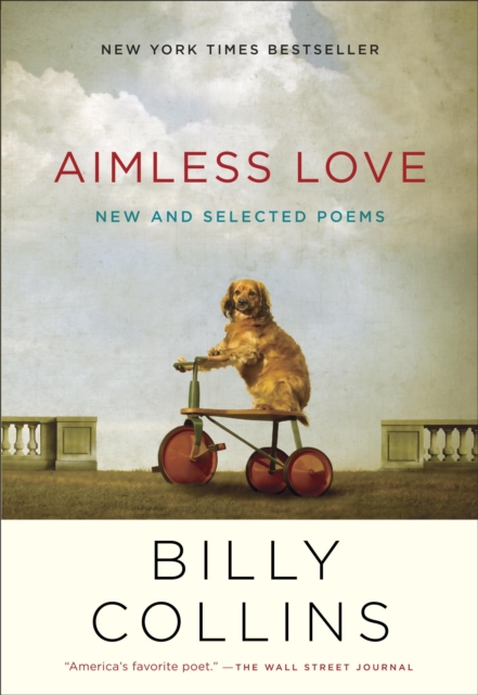 Aimless Love, EPUB eBook