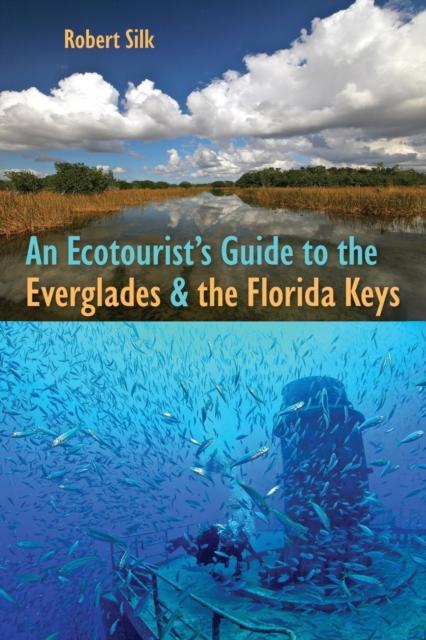 An Ecotourist's Guide to the Everglades and the Florida Keys, Paperback / softback Book