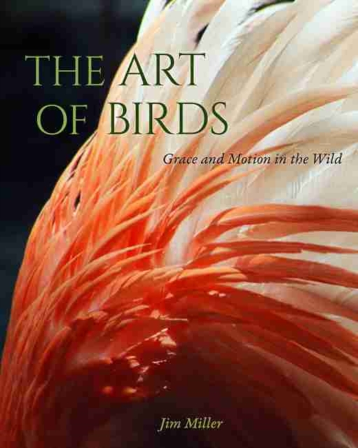 The Art of Birds : Grace and Motion in the Wild, Hardback Book