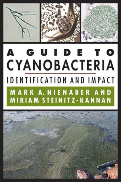 A Guide to Cyanobacteria : Identification and Impact, Paperback / softback Book