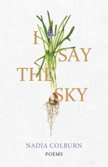 I Say the Sky : Poems, Hardback Book