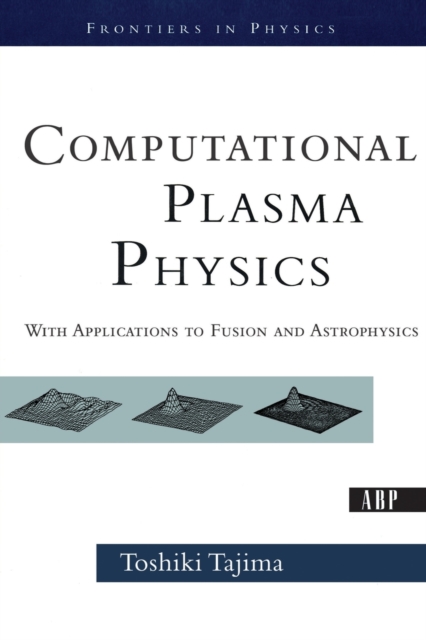 Computational Plasma Physics : With Applications To Fusion And Astrophysics, Paperback / softback Book