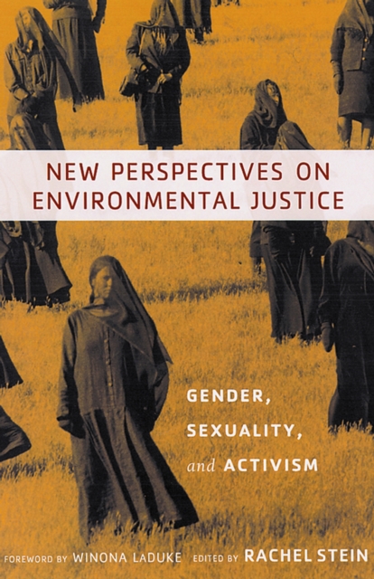 New Perspectives on Environmental Justice : Gender, Sexuality, and Activism, PDF eBook