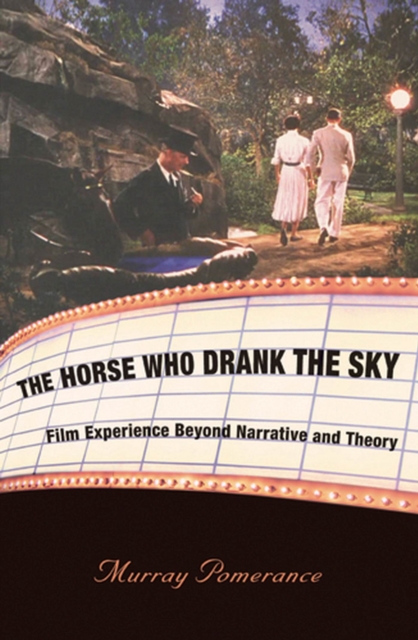 The Horse Who Drank the Sky : Film Experience Beyond Narrative and Theory, Paperback Book