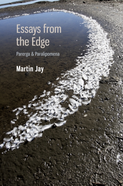Essays from the Edge : Parerga and Paralipomena, PDF eBook