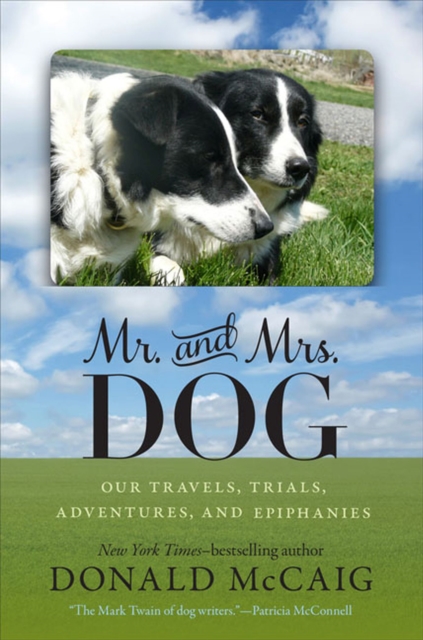 Mr. and Mrs. Dog : Our Travels, Trials, Adventures, and Epiphanies, Paperback / softback Book