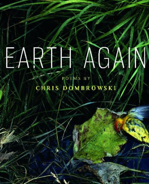 Earth Again : Poems, Paperback / softback Book
