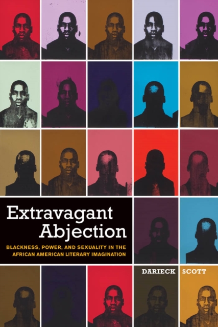 Extravagant Abjection : Blackness, Power, and Sexuality in the African American Literary Imagination, Paperback / softback Book