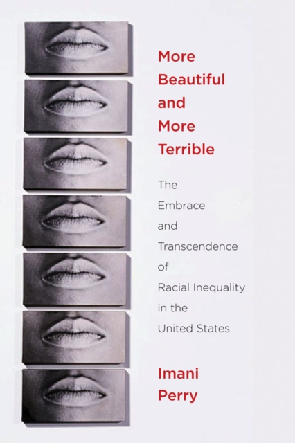 More Beautiful and More Terrible : The Embrace and Transcendence of Racial Inequality in the United States, Hardback Book