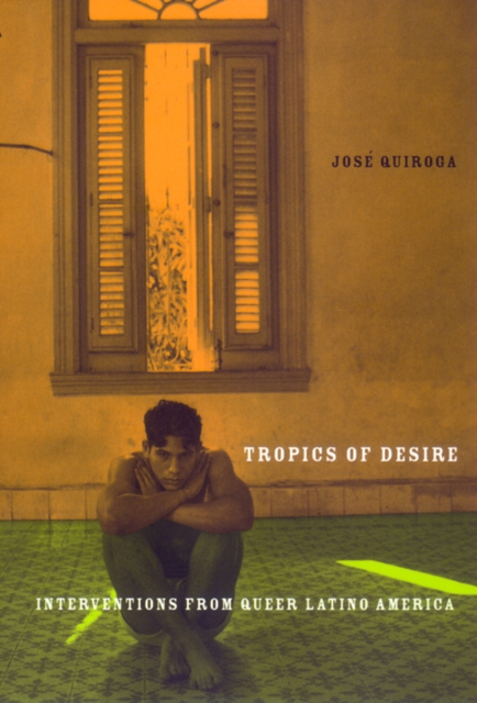 Tropics of Desire : Interventions from Queer Latino America, Paperback / softback Book