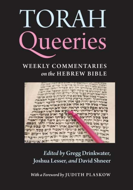 Torah Queeries : Weekly Commentaries on the Hebrew Bible, Paperback / softback Book