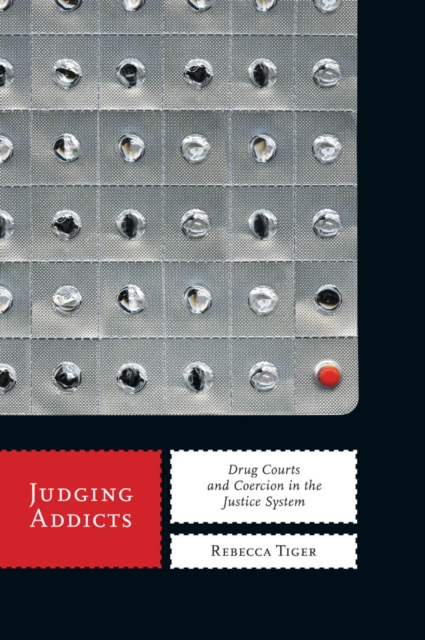 Judging Addicts : Drug Courts and Coercion in the Justice System, Paperback / softback Book
