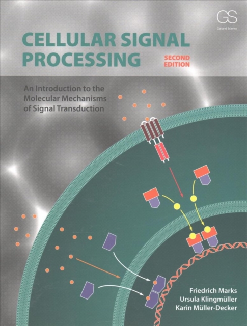Cellular Signal Processing : An Introduction to the Molecular Mechanisms of Signal Transduction, Paperback / softback Book