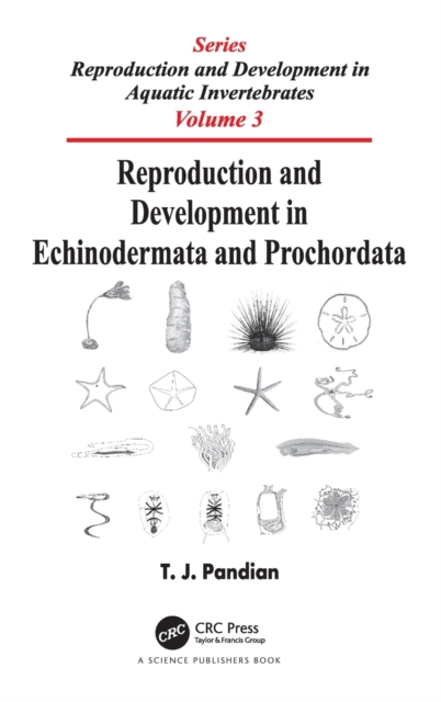 Reproduction and Development in Echinodermata and Prochordata, Hardback Book