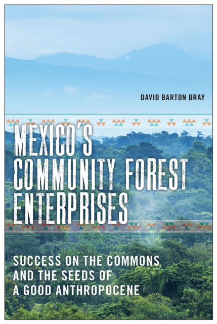 Mexico's Community Forest Enterprises : Success on the Commons and the Seeds of a Good Anthropocene, Hardback Book