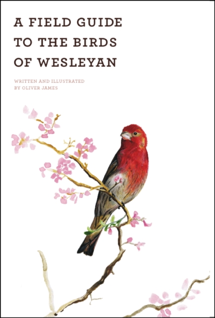 A Field Guide of the Birds of Wesleyan, Paperback / softback Book