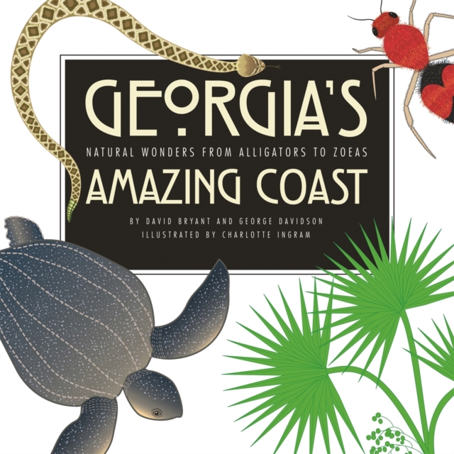 Georgia's Amazing Coast : Natural Wonders from Alligators to Zoeas, Paperback / softback Book