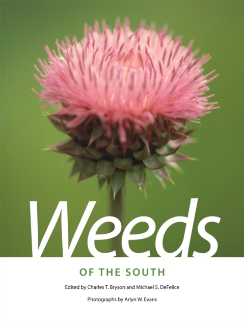 Weeds of the South, Paperback / softback Book
