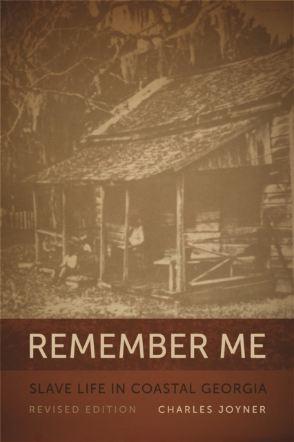 Remember Me : Slave Life in Coastal Georgia, PDF eBook