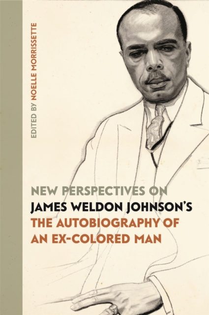 New Perspectives on James Weldon Johnson's "The Autobiography of an Ex-Colored Man, EPUB eBook