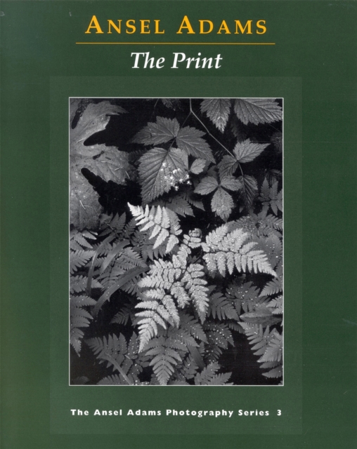 New Photo Series 3: Print, Paperback / softback Book