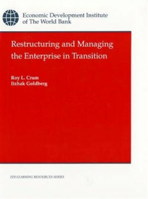 Restructuring and Managing the Enterprise in Transition, Paperback / softback Book