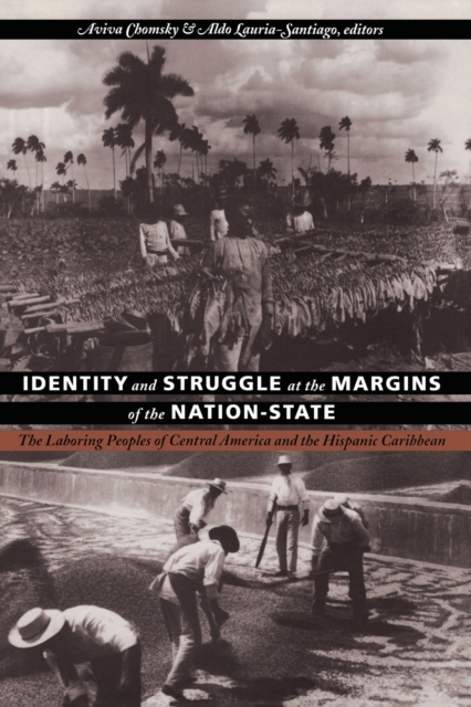 Identity and Struggle at the Margins of the Nation-State : The Laboring Peoples of Central America and the Hispanic Caribbean, Paperback / softback Book