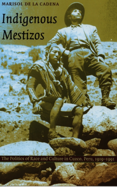 Indigenous Mestizos : The Politics of Race and Culture in Cuzco, Peru, 1919-1991, Paperback / softback Book