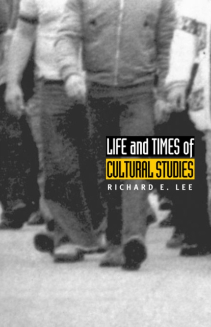 Life and Times of Cultural Studies : The Politics and Transformation of the Structures of Knowledge, Paperback / softback Book