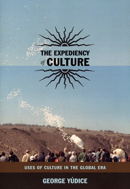 The Expediency of Culture : Uses of Culture in the Global Era, Hardback Book