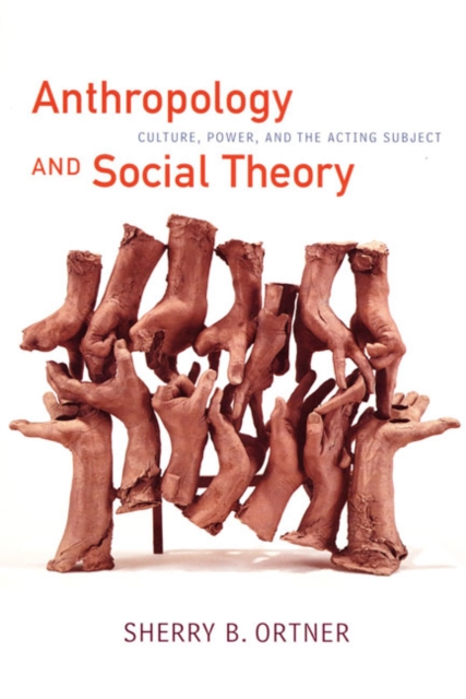 Anthropology and Social Theory : Culture, Power, and the Acting Subject, Paperback / softback Book